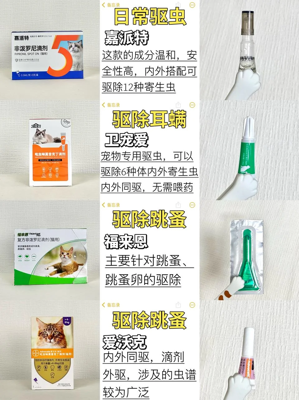 过来人建议：猫咪驱虫还是要多做功课