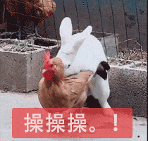 分享图片 