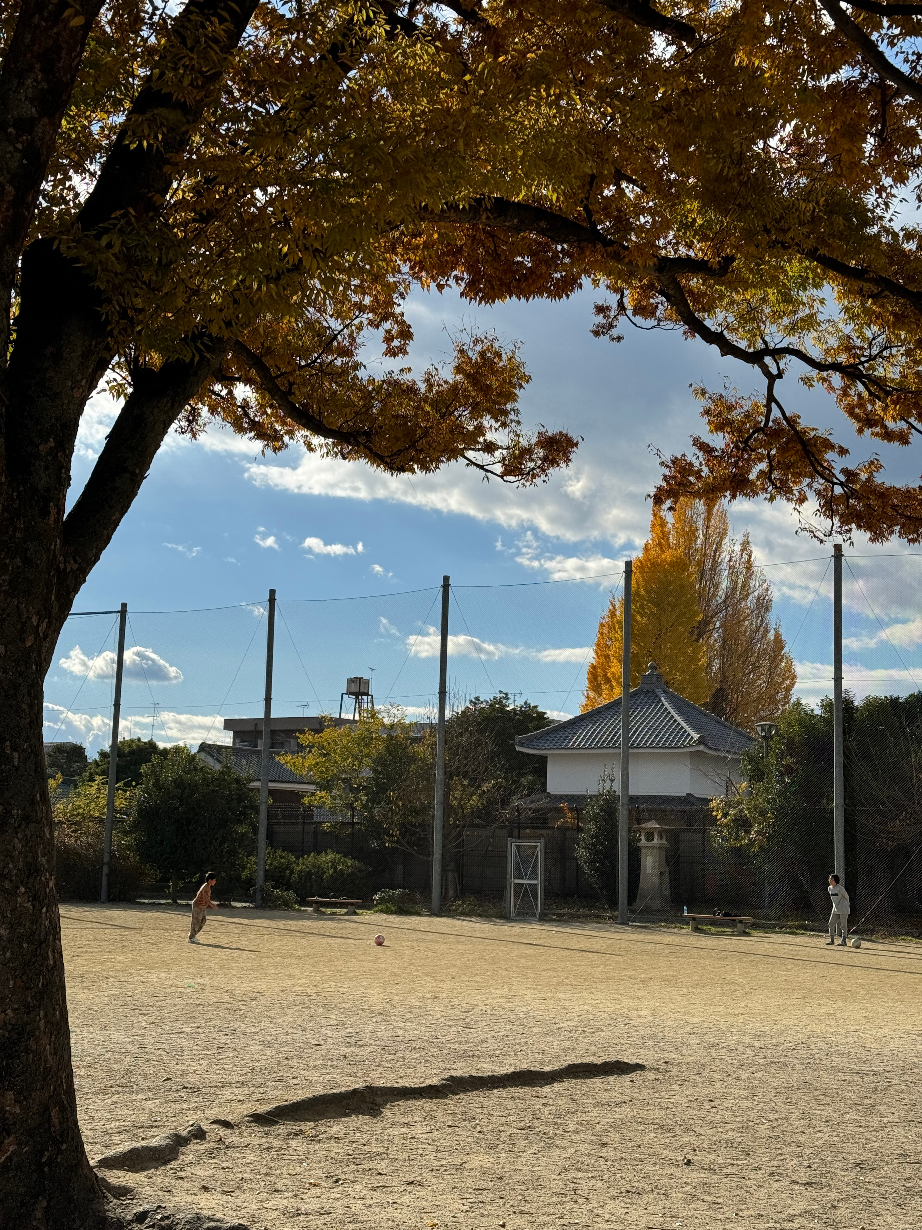 京都的天气总是忽晴忽雨，坐了半个小时的公交去咖啡店吃了早餐，沿着鸭川来来回回走了