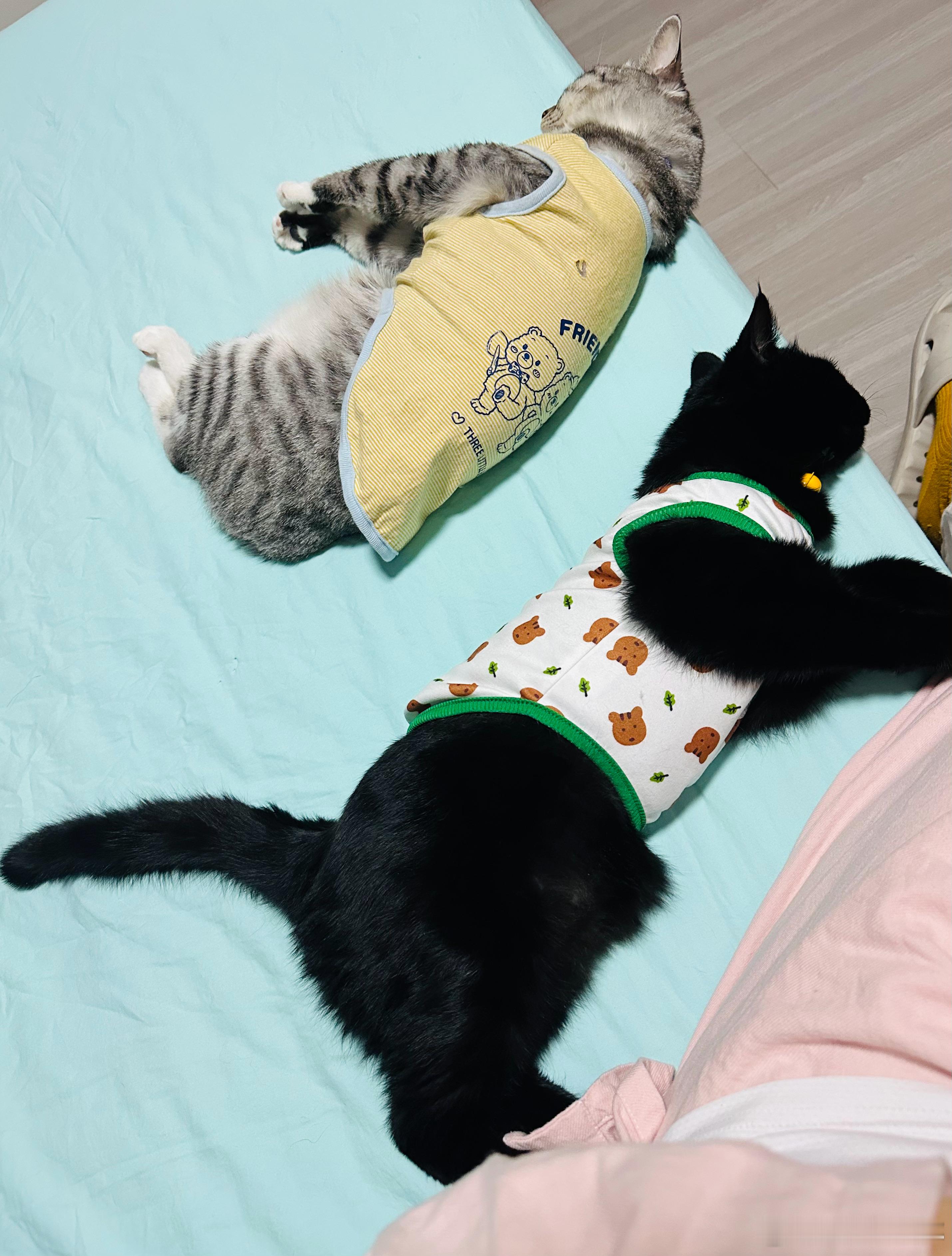 人，总有理由能亲手阻拦自己。 