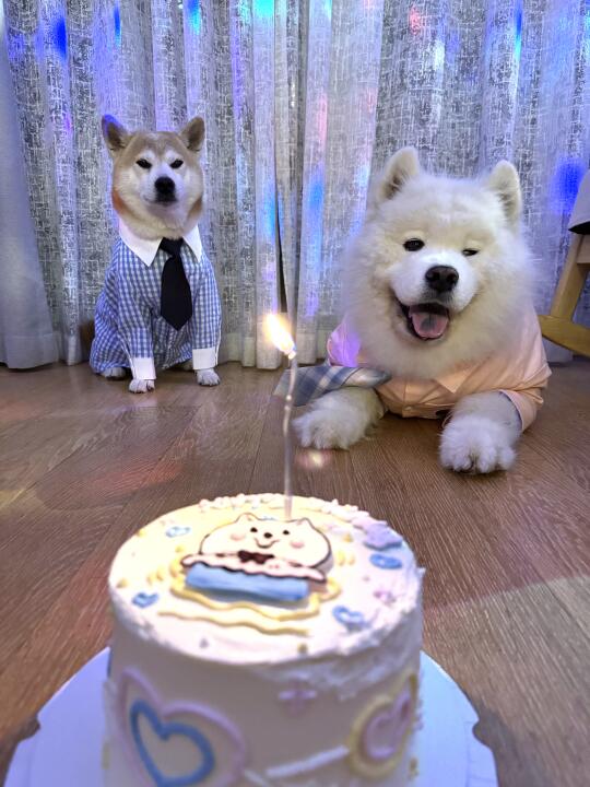 我当好孩子的第八年