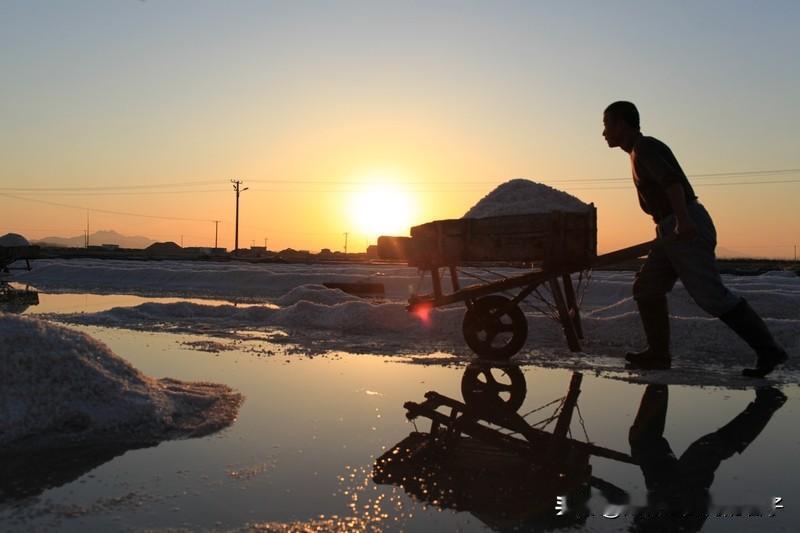 为何说找盐是荒野求生者的必备技能 在荒野求生里，水和食物常被重视，盐却成了容易被