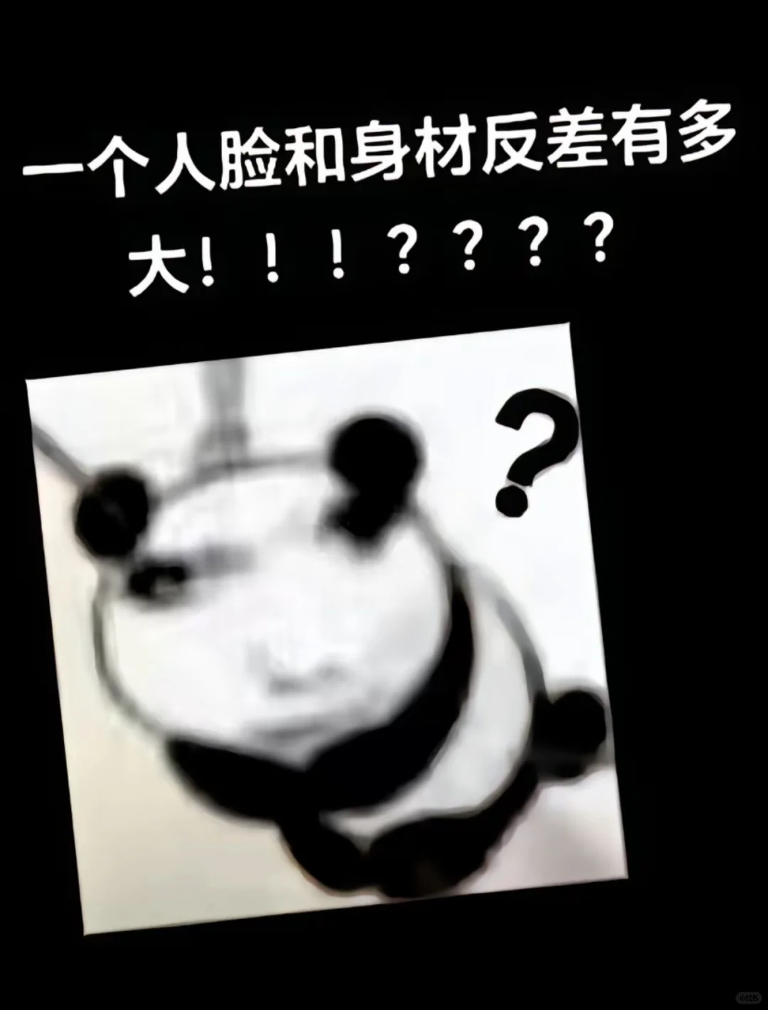 可爱有什么用 还是这么拽
