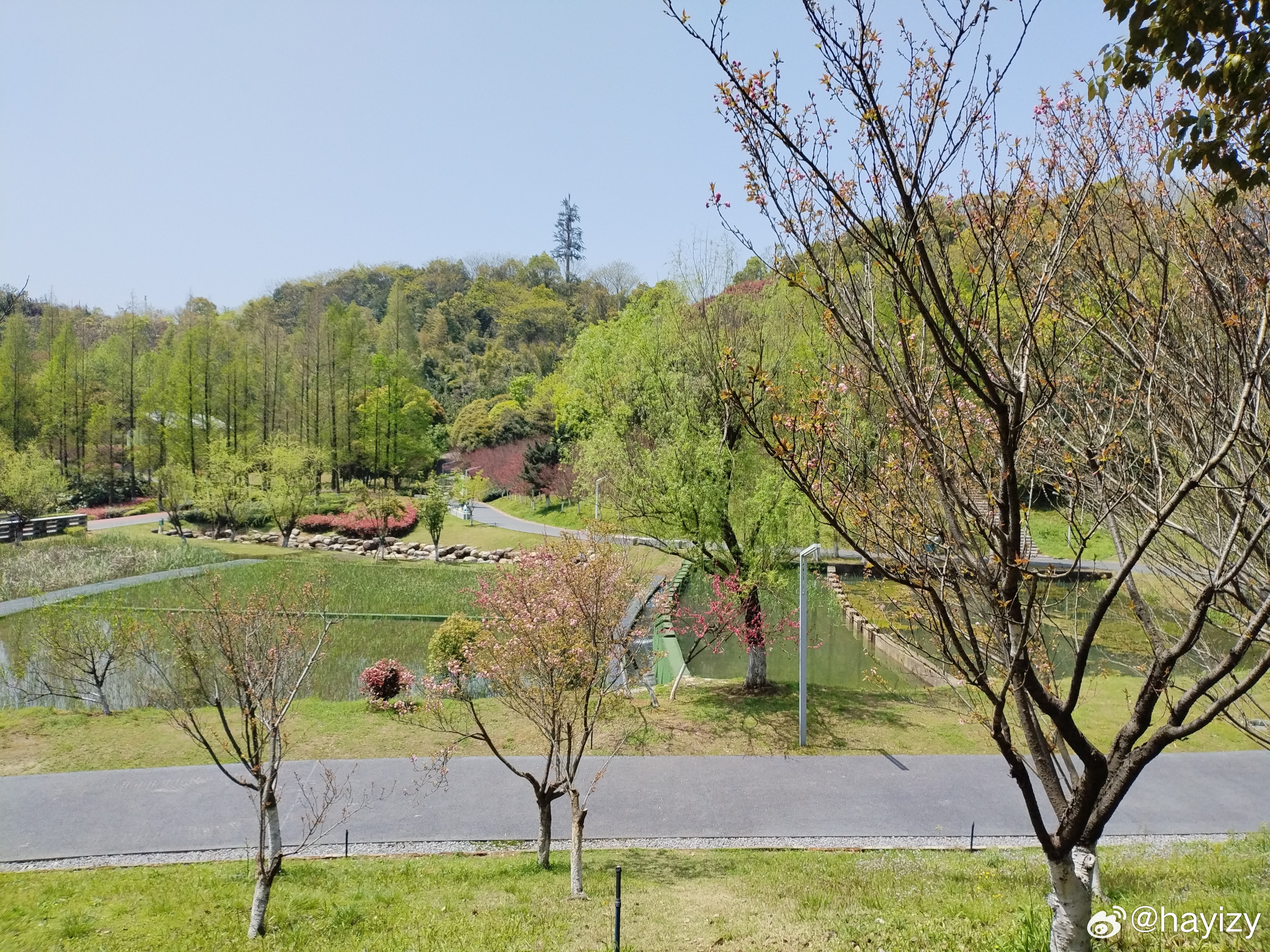 打卡尖山公园，今天步数1w+ 