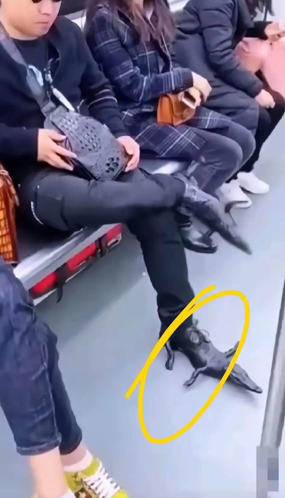 这鳄鱼皮鞋太形象了，简直就是两条鳄鱼穿在脚上，看着太吓人了，现在什么奇特的事情都