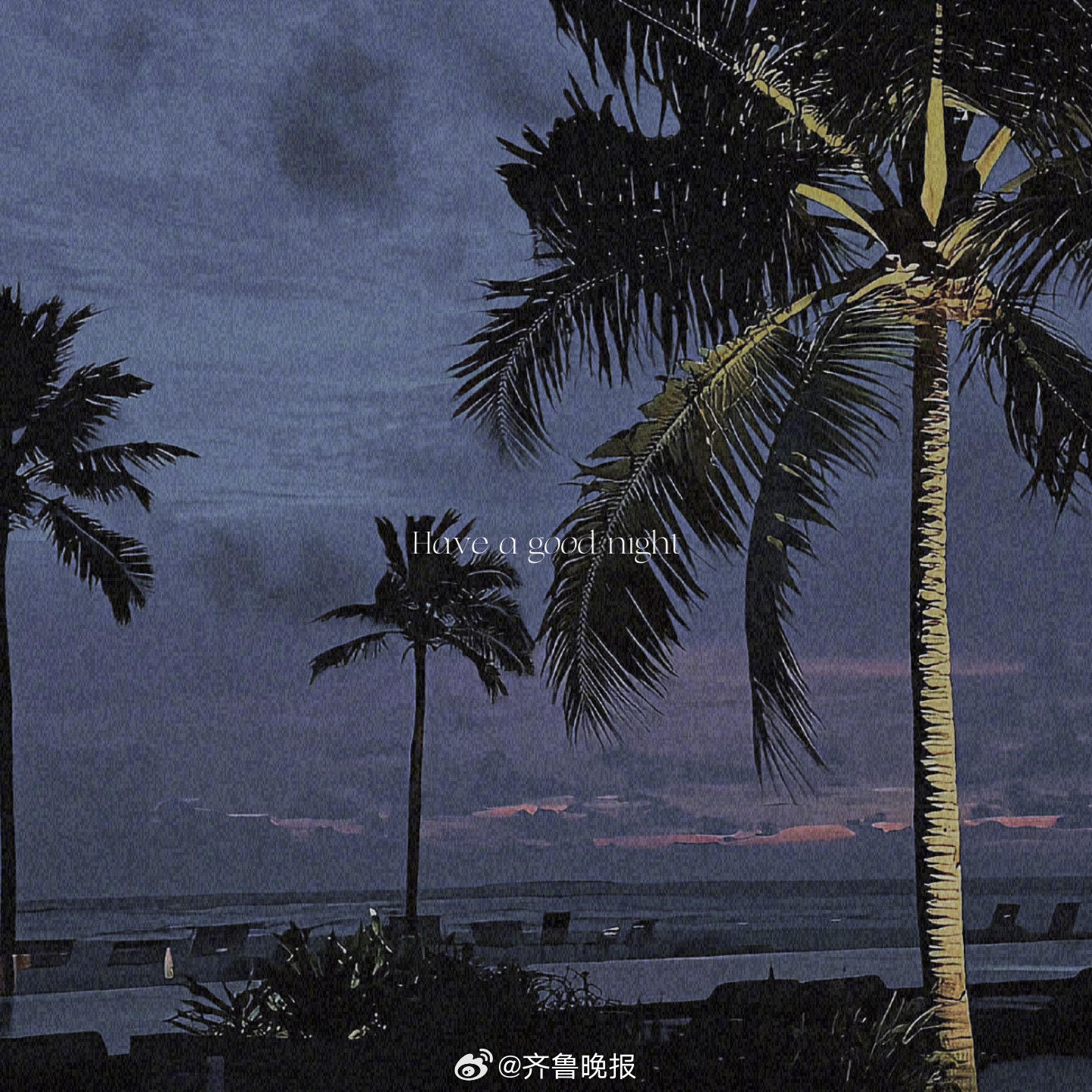 山有顶峰海有彼岸人生自有时运来[给你小心心]#晚安# ​​​