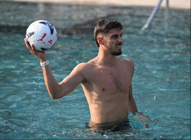 🦭⚽️ 