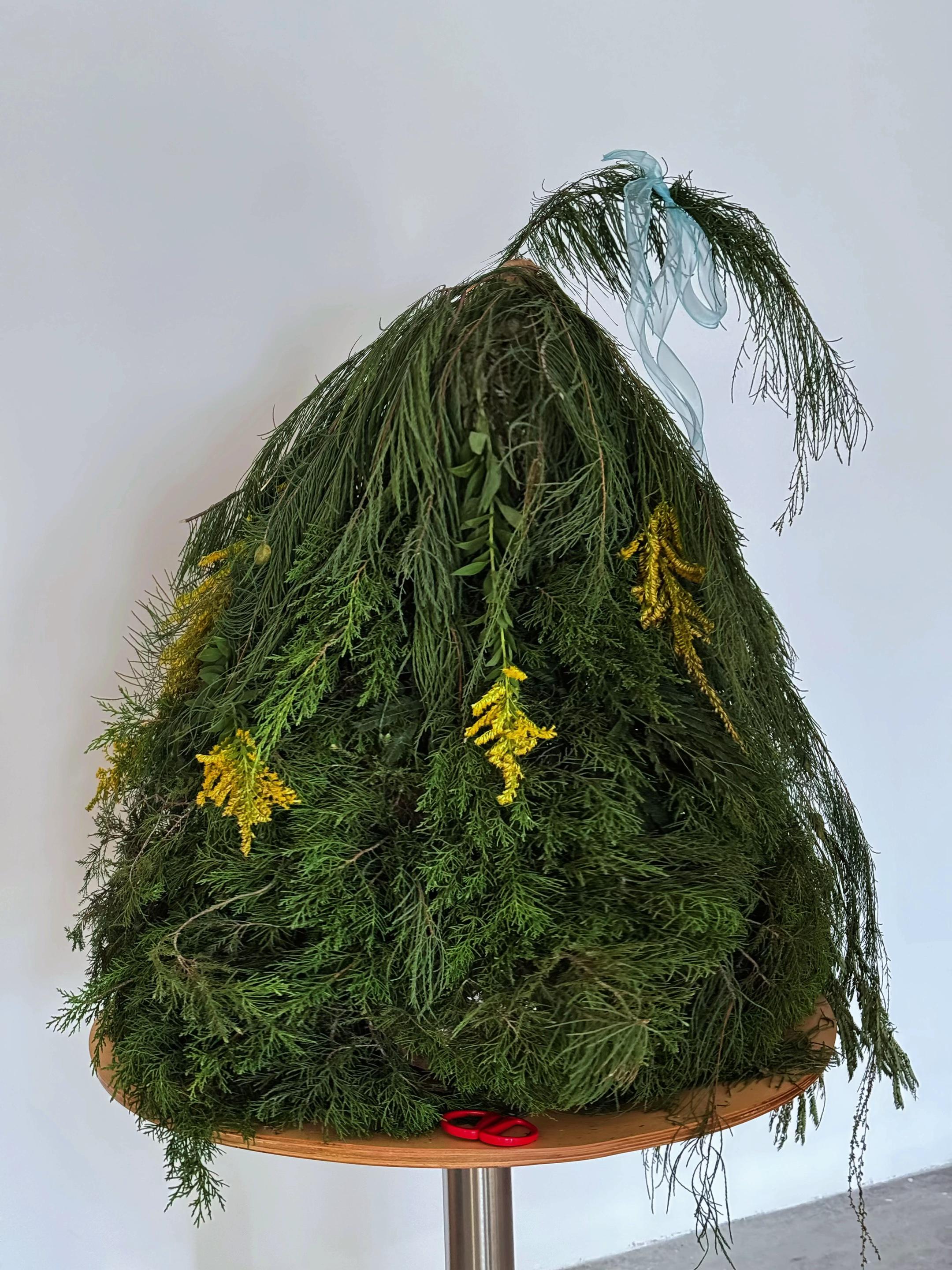 第一次做圣诞树🌲，很成功了🎄