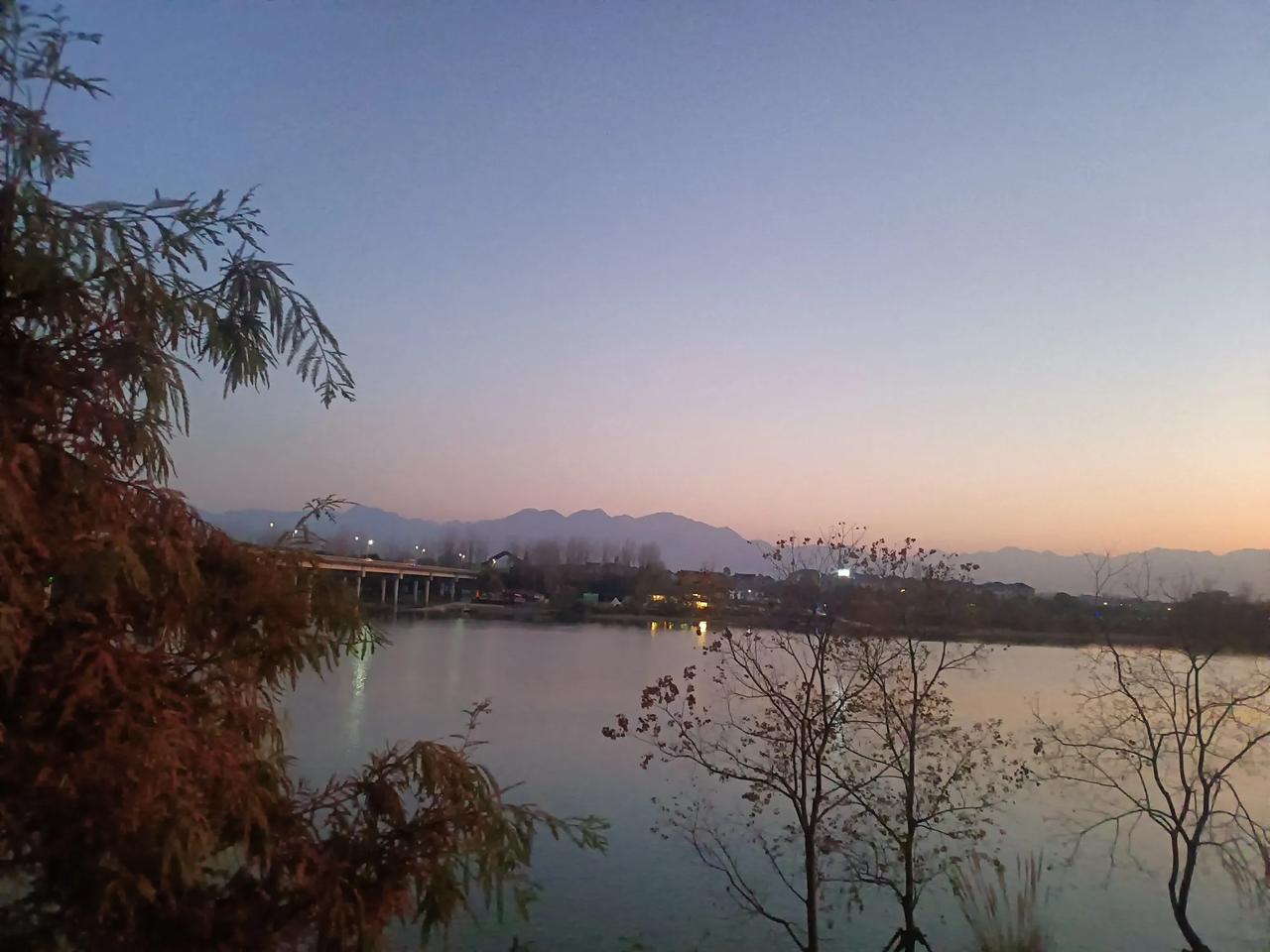 春日生活打卡季