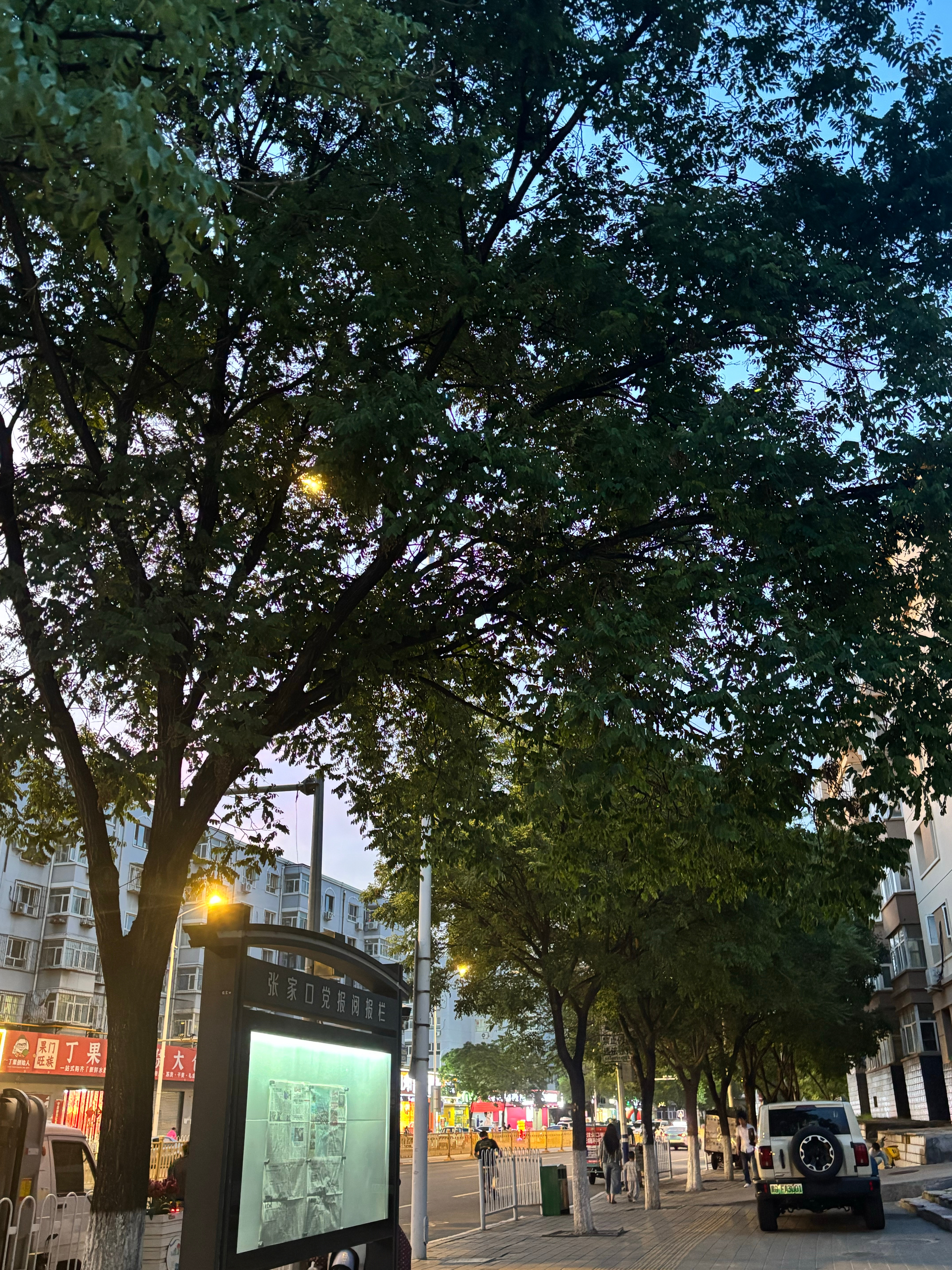 下班了 今天 天气还不错🌲☁️ 