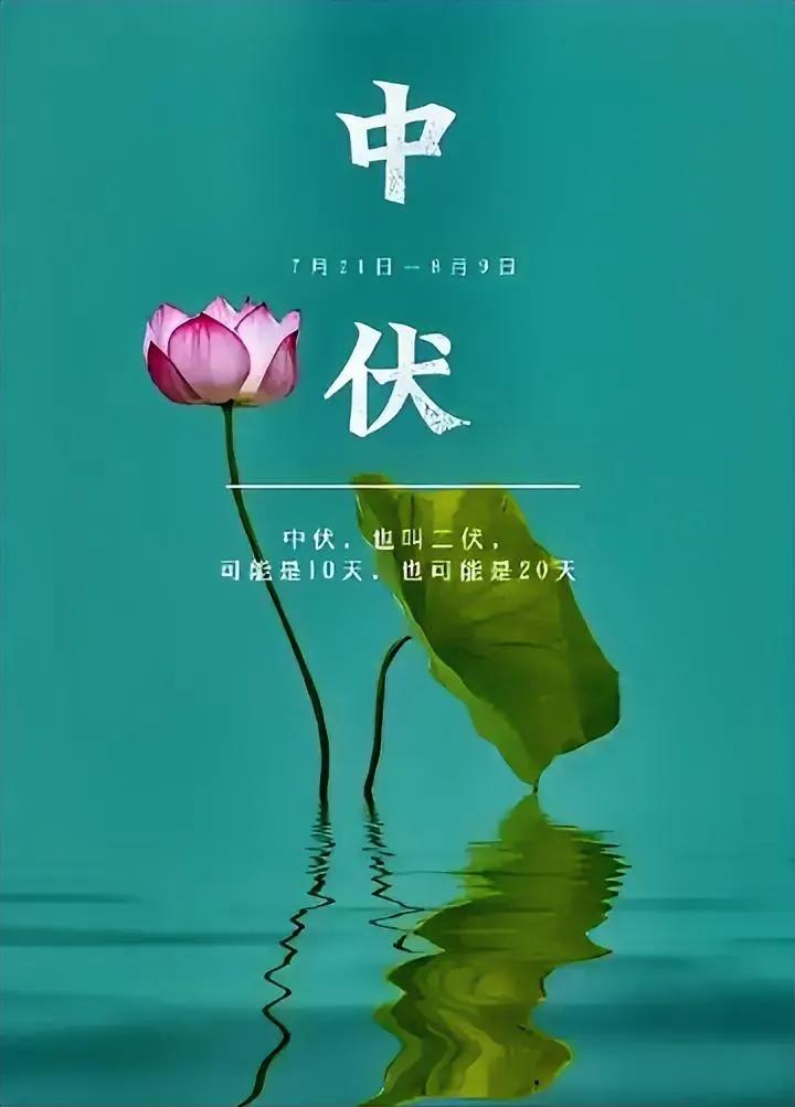 紧急通知！
今天就是中伏了
老话说的好“中伏，冷飕飕；晚中伏，热死牛”“中伏有雨