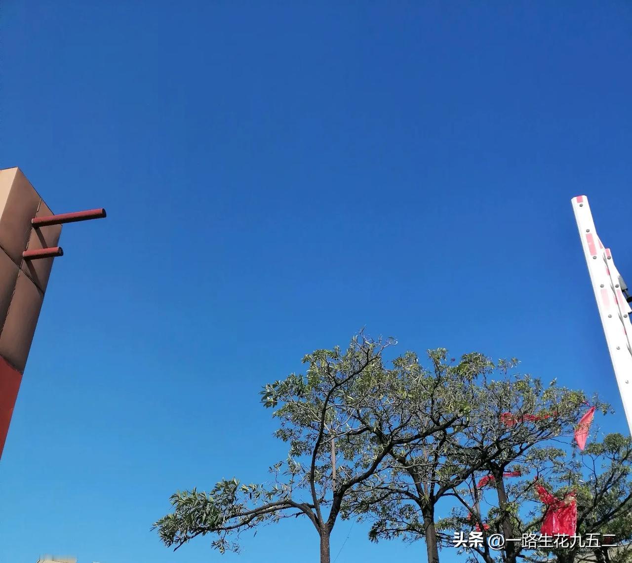 生态环境不错，天空看起来像蓝宝石，手机原图，无任何优化。冬季打卡季 冬季生活打卡