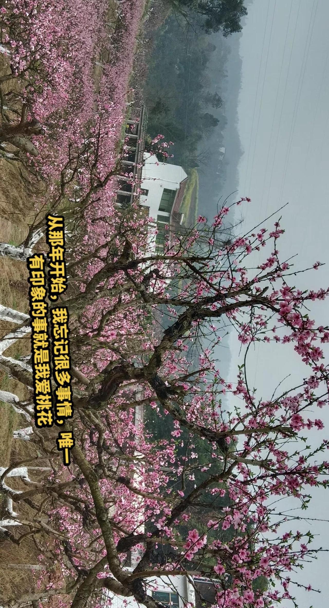 有些事情你不愿在提，就像有些人你不愿在见，，，