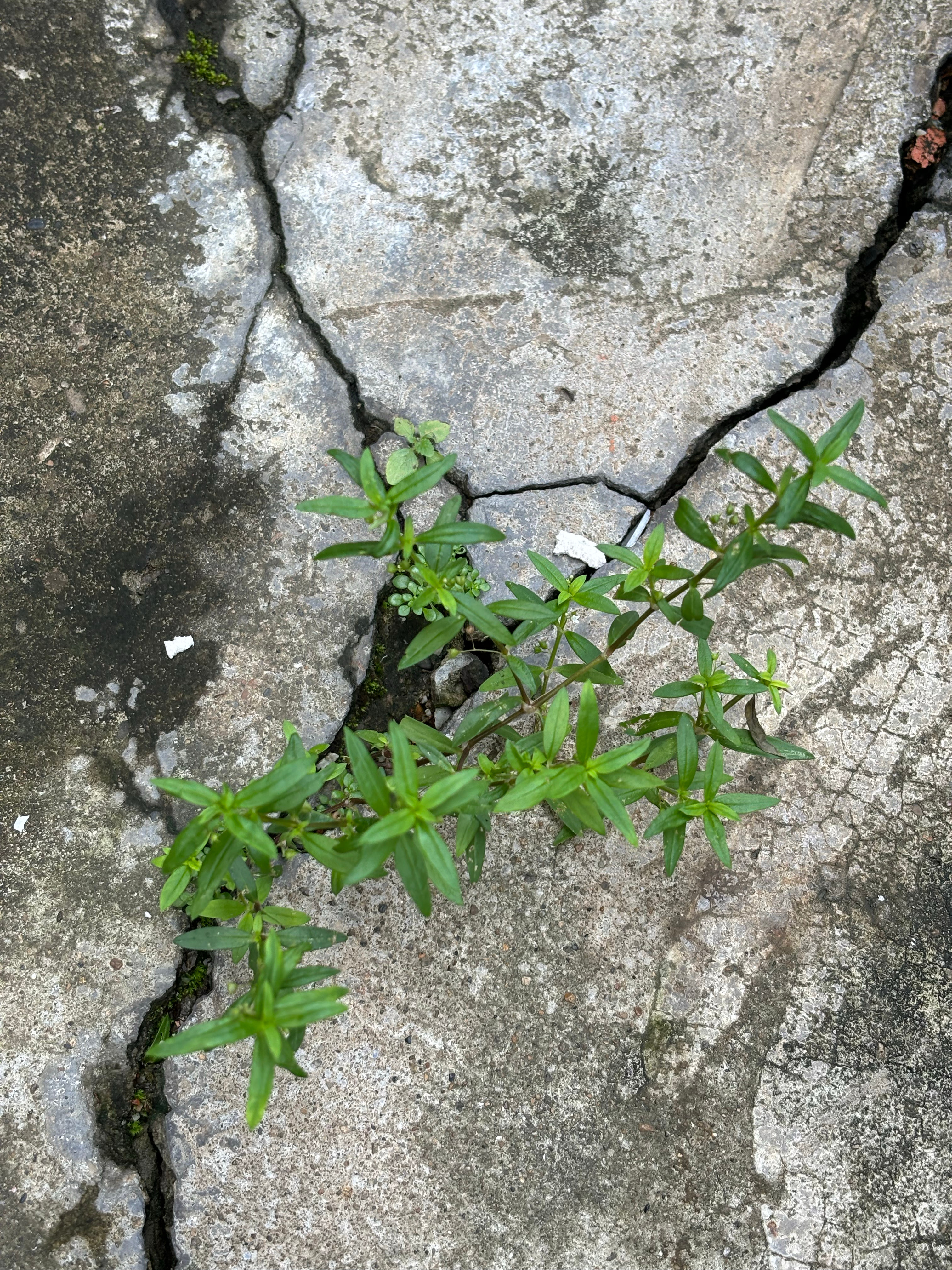 早安  不必焦虑进度，好好生活，答案藏在日复一日的烟火里。早安。 