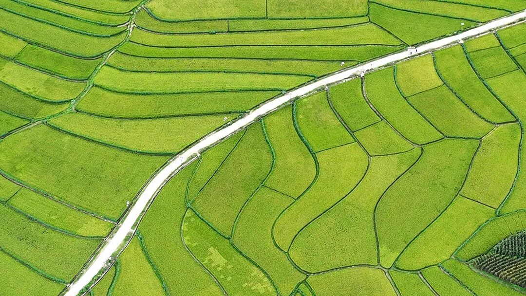 连休7天！多所高校官宣“春假”，有你的大学吗？