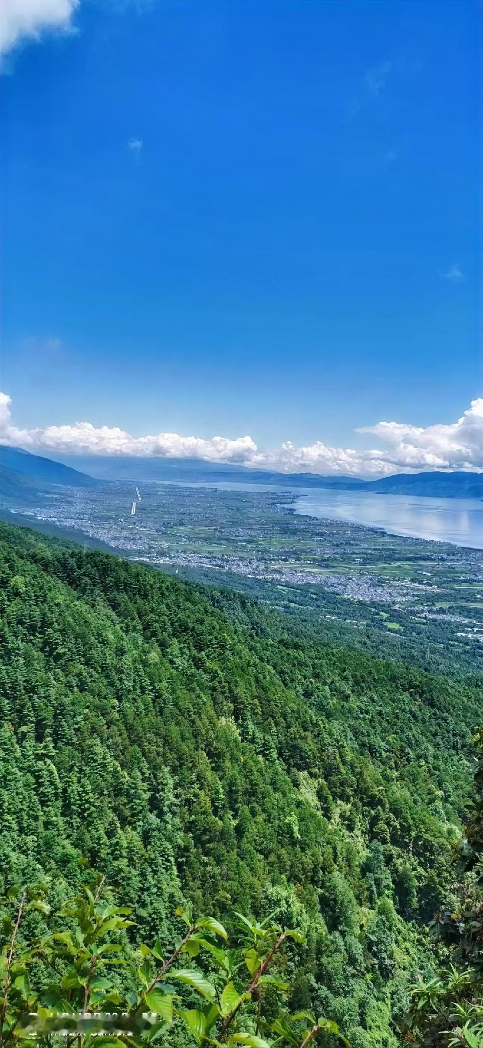 太多言语会拥挤，
太多执念会迷离，
不如留一段空白，
给风，给雨，给自己……
