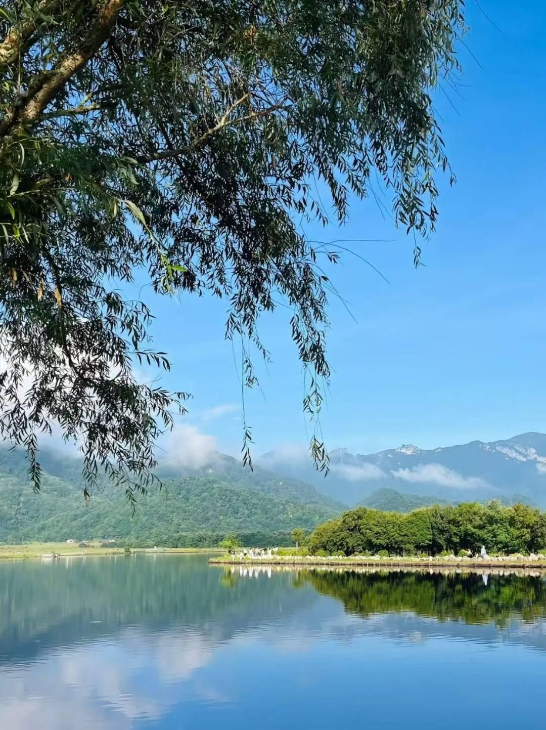 总说春天太短，来不及奔赴山野；
总说日子飞快，来不及细品慢尝；
 总说心事太满，