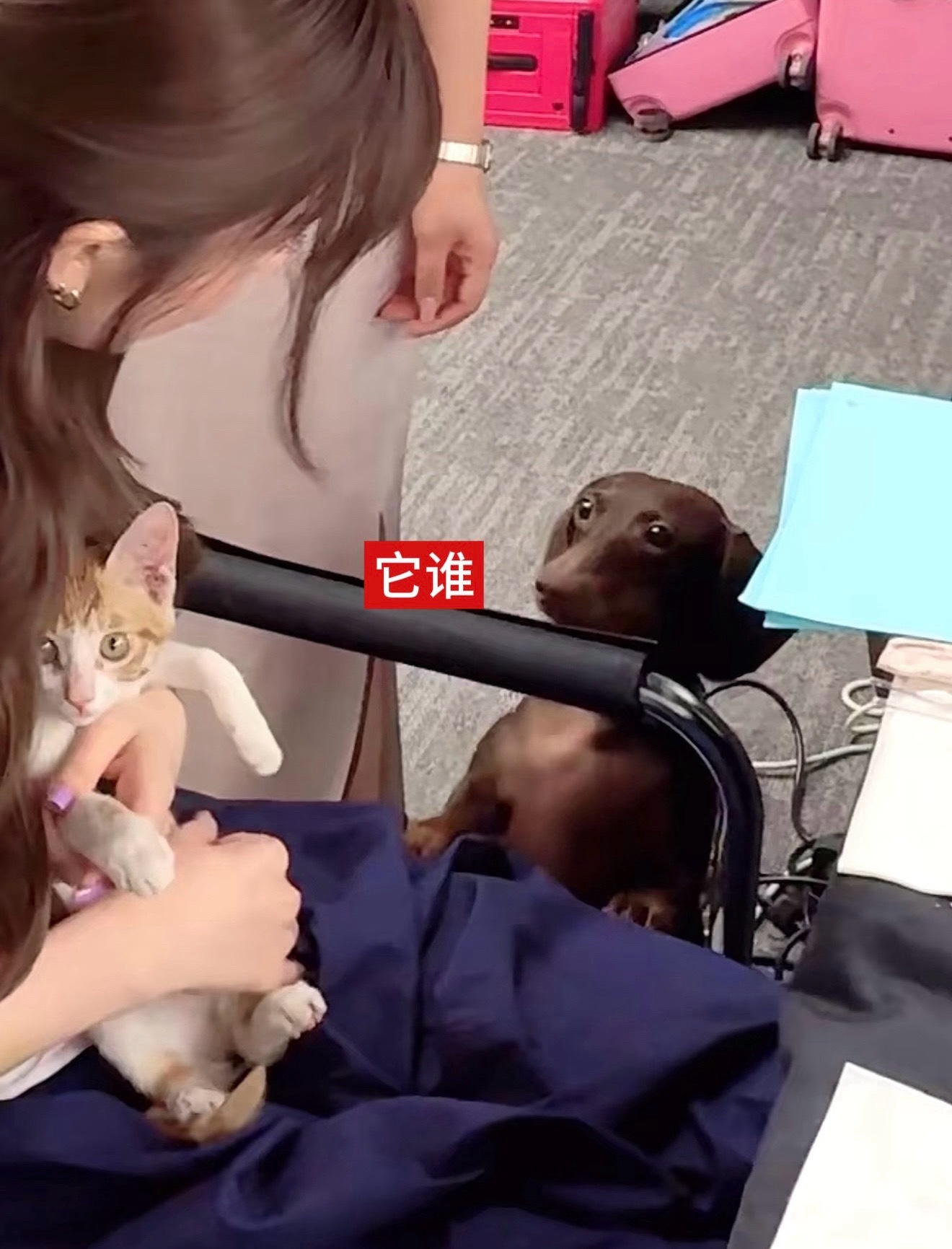 “妈妈你不会不要我的吧？我要找我爸爸告状了” 