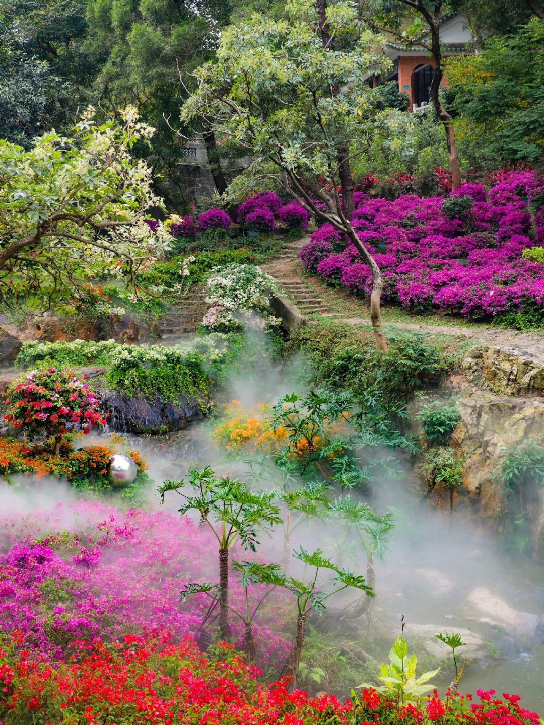 广州市中心的梦幻山谷花海🌸彷如闯入仙境！