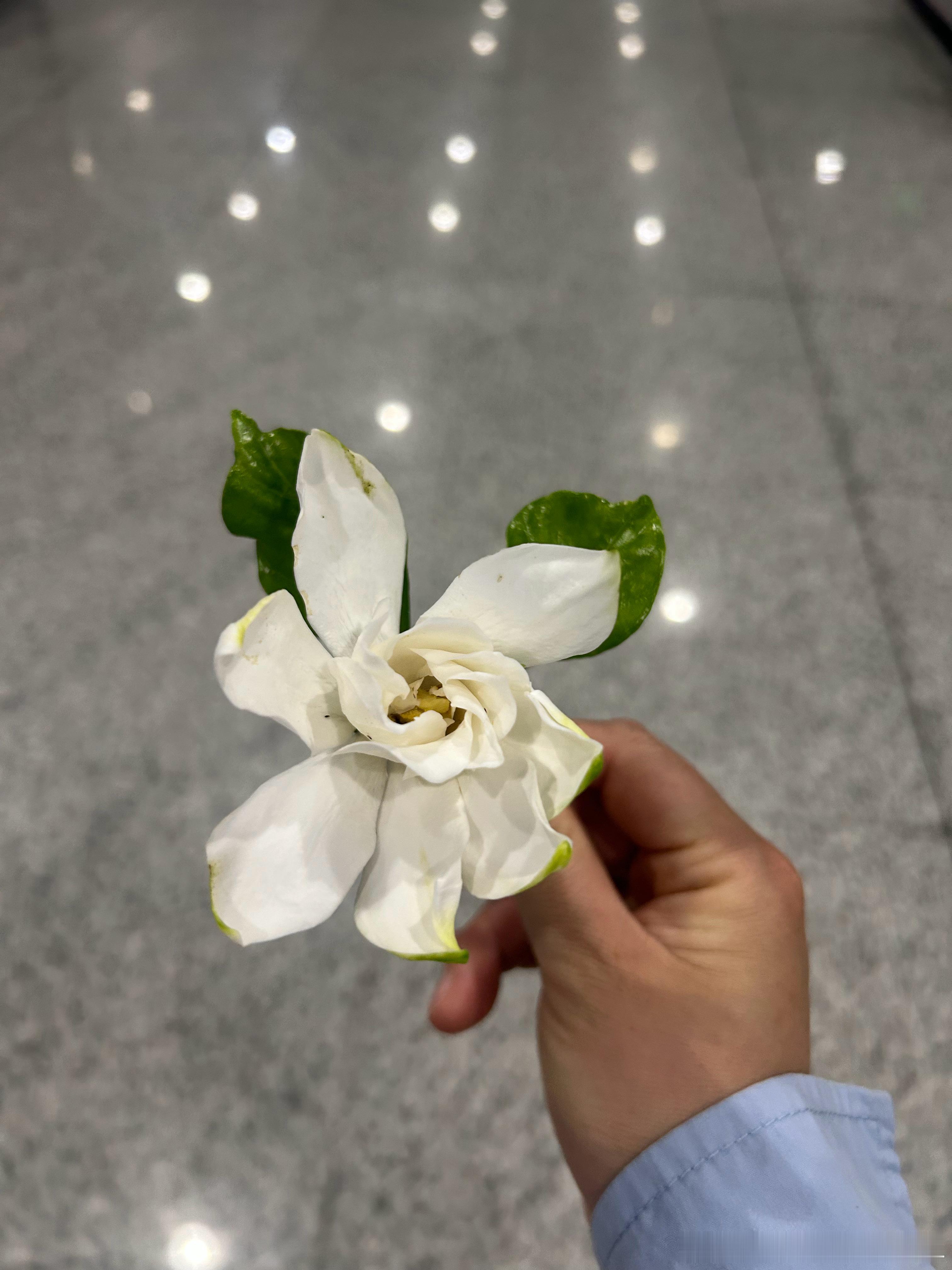 同事和我聊公司福利，今年下半年可能会有海外旅游。去年没有安排旅游但是发了携程卡，