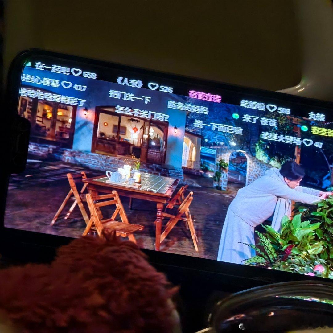 除了放着原倍速挂播这个双轨我也不知道这个点我还能做什么了每天都要早起的人真退下了