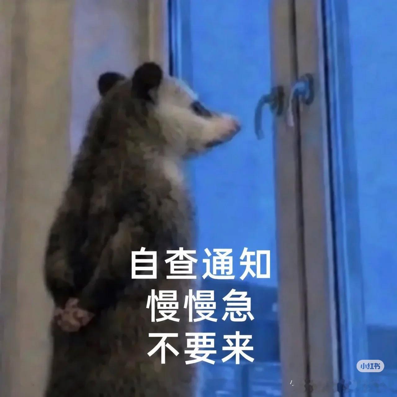 疑似塌房男顶流几年没进组其实这种几年不进组，应该是被娱乐圈警告，或者身上有黑料无