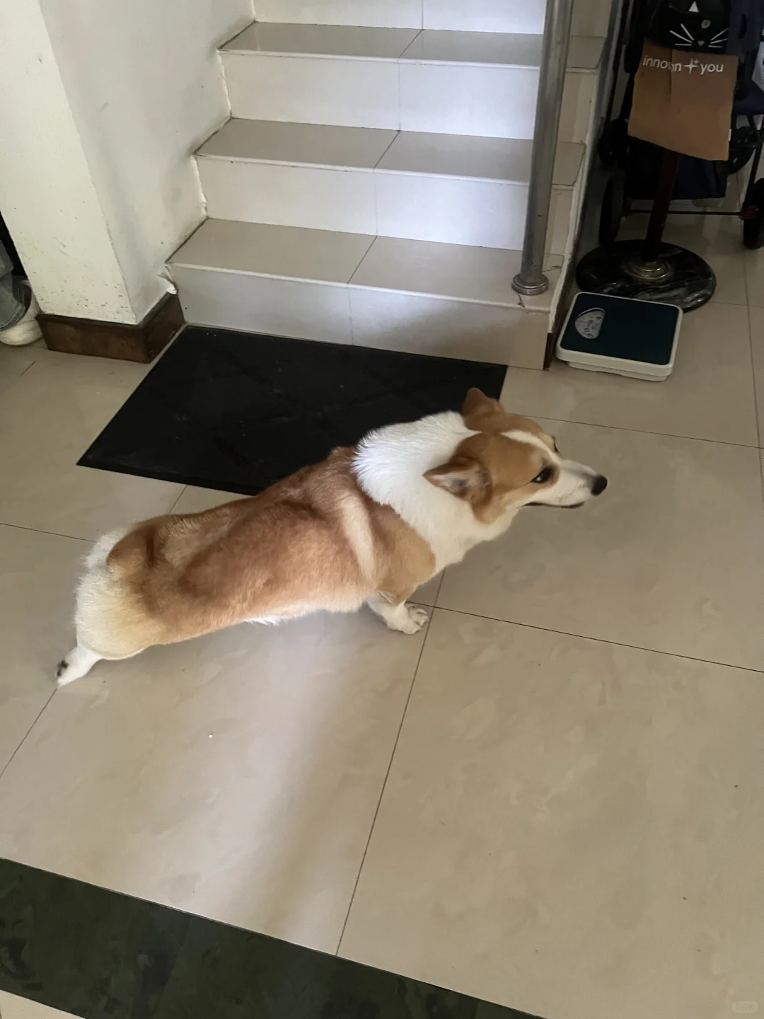 妈妈快看啊 我在拉伸