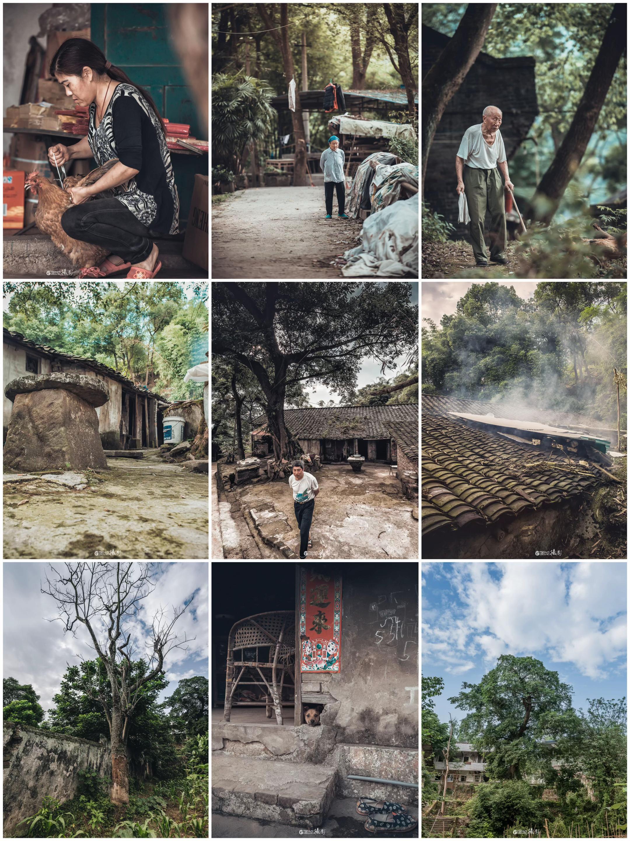 北碚白羊背｜镜头里的烟火与岁月。走进白羊背，仿佛闯入时光的褶皱。镜头下...