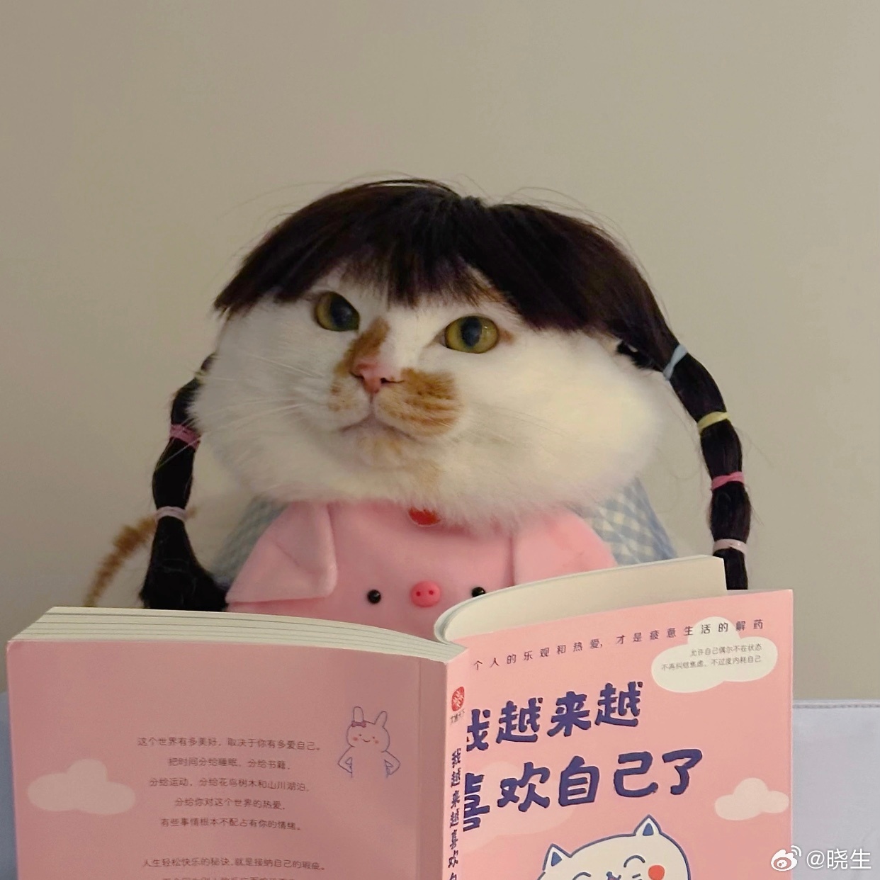 这两年咨询感受格外强烈相较于前些年大家总是想知道“对方喜欢什么”，现在的人普遍会