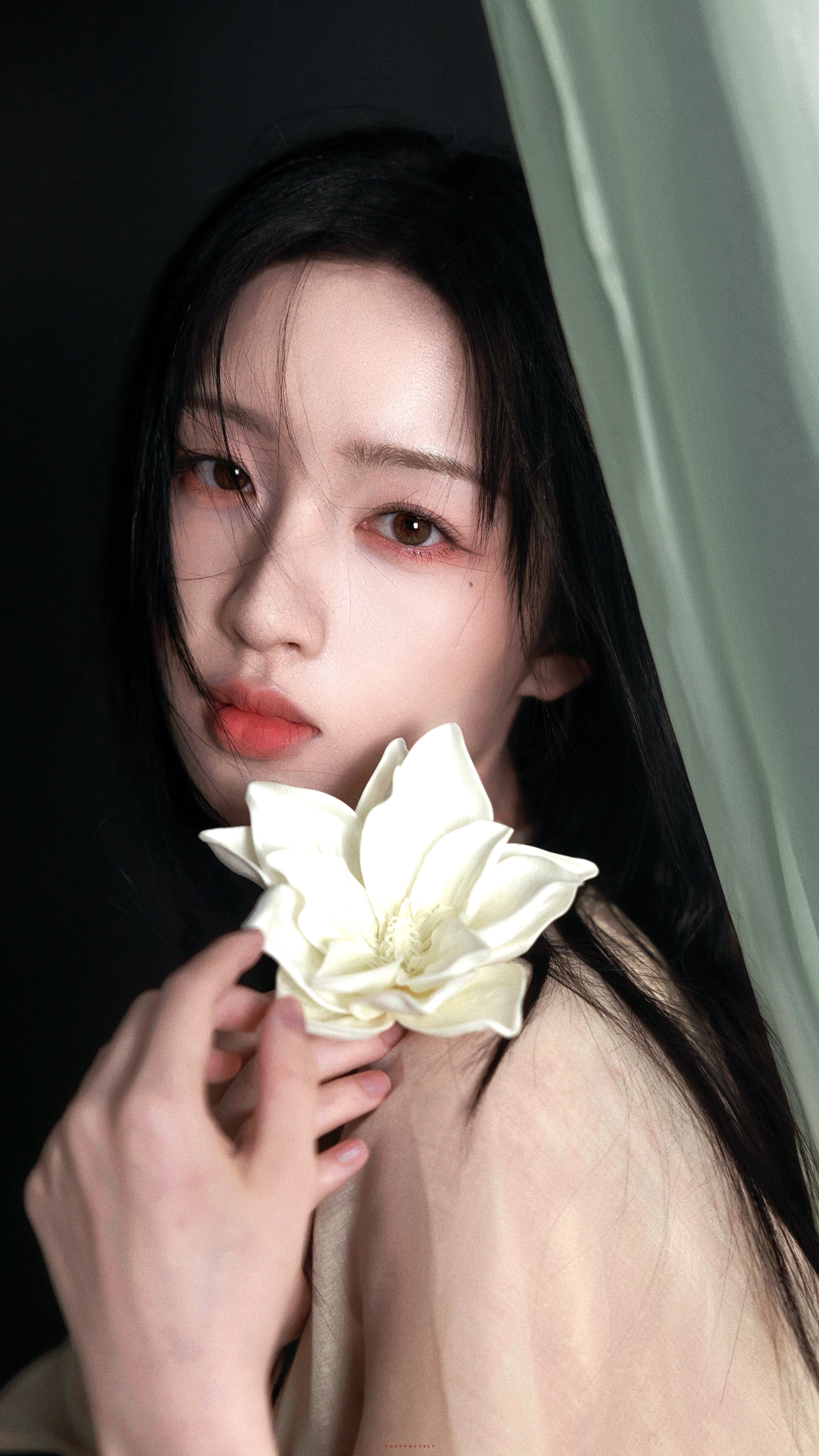 枯木逢春🍃邓恩熙 