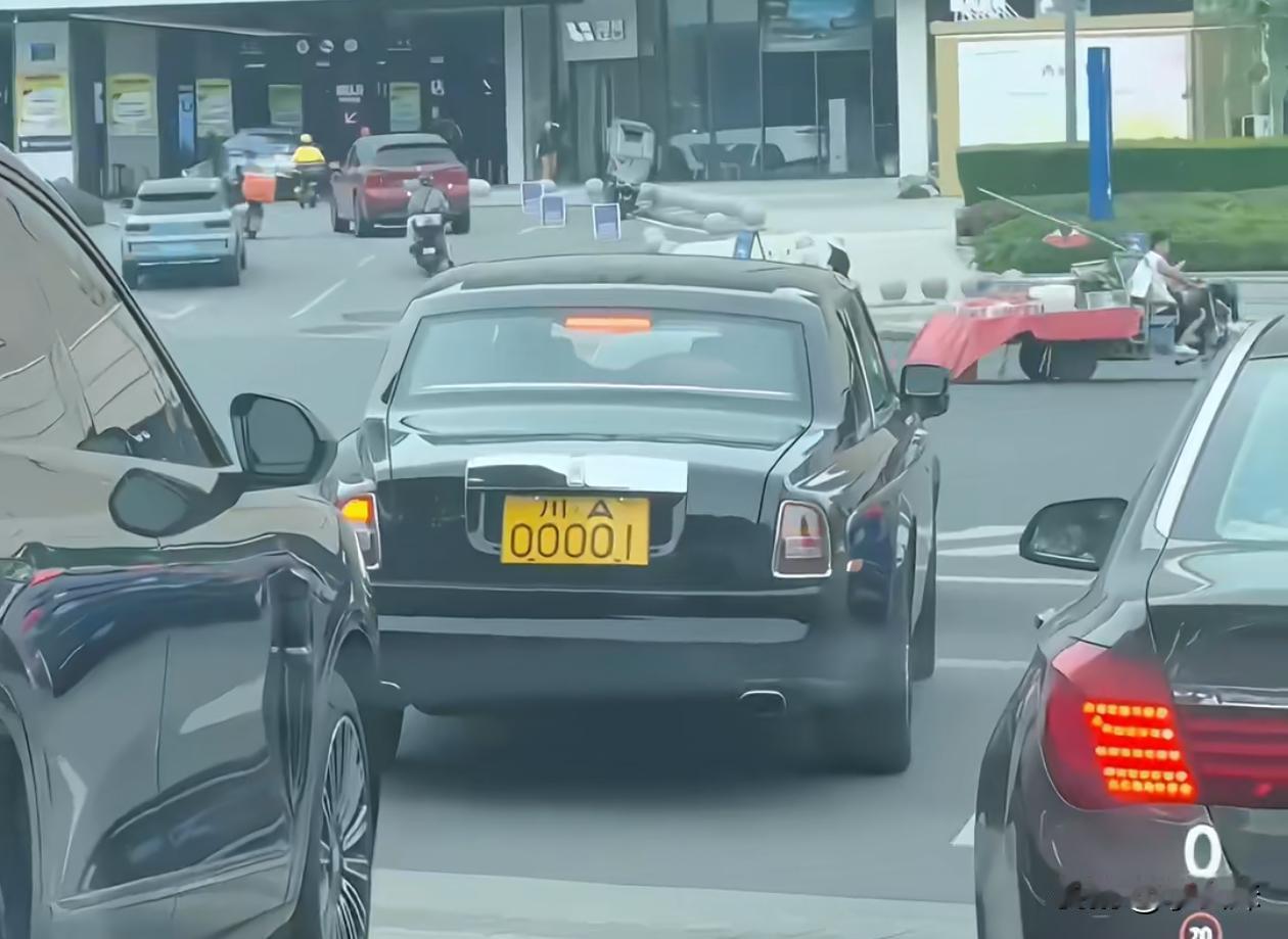 碰见刘备的卢了