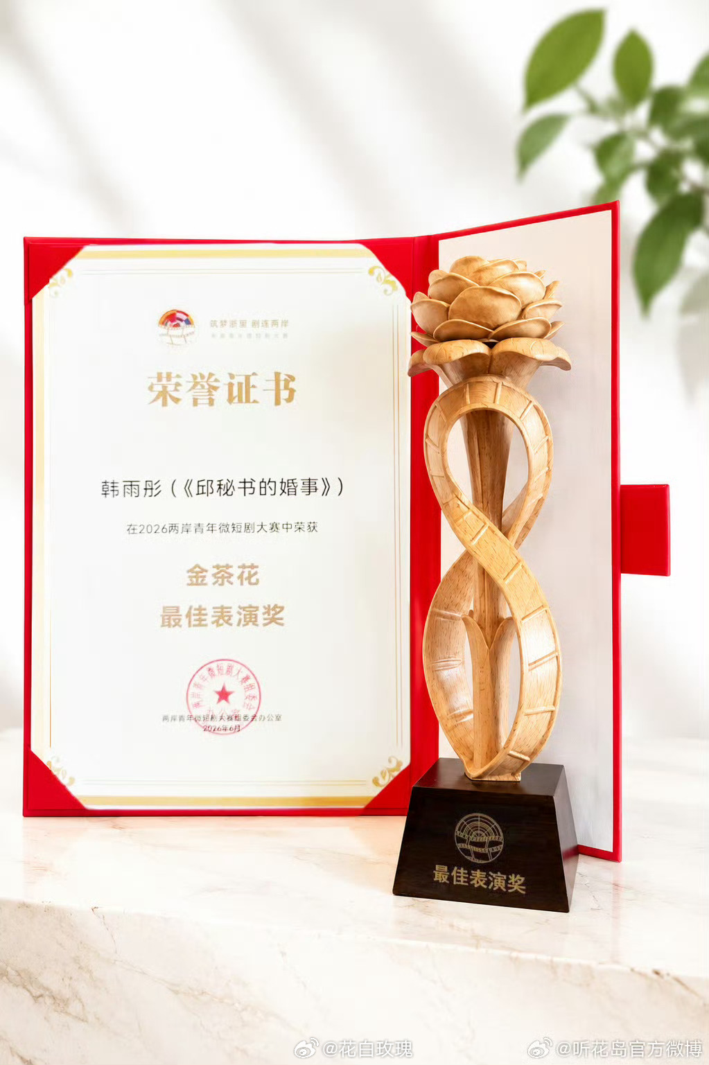 恭喜 韩雨彤凭借《邱秘书的婚事》荣获金茶花最佳表演奖 实至名归 一直用演技作品说