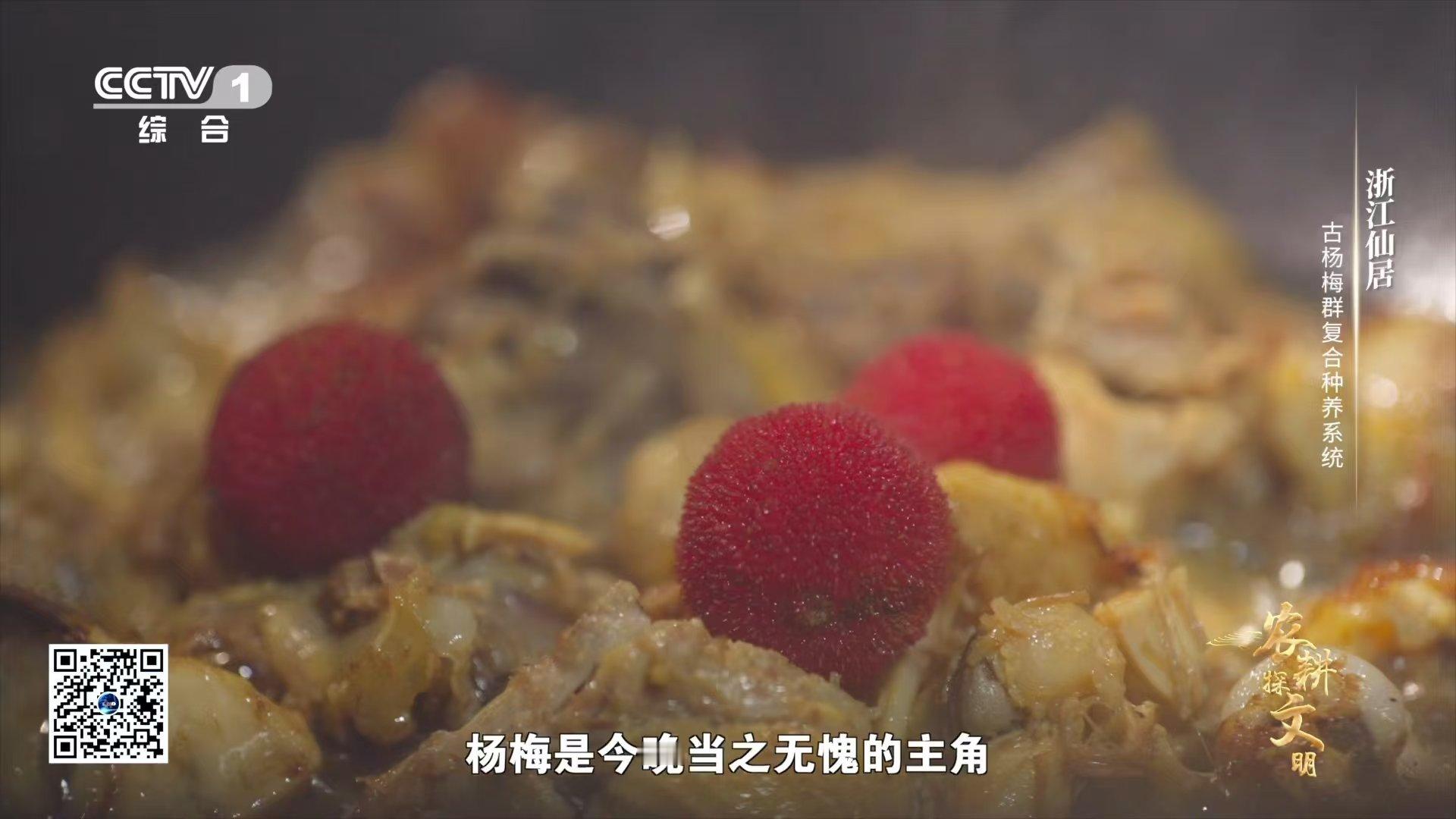 #浙江仙居人用杨梅炒鸡肉##农耕探文明#在杨梅的酸甜与鸡肉的鲜香交融之际，一场关