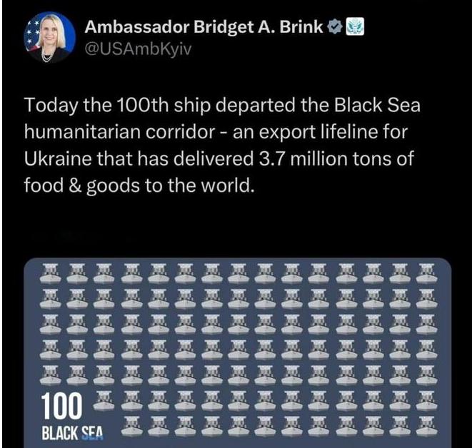 美国驻乌克兰大使布林克表示，自黑海人道走廊于 2023 年 8 月开放以来，今天