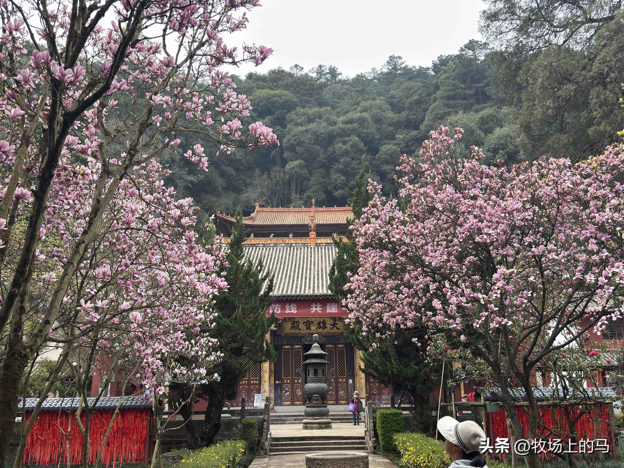 太华寺三月天。