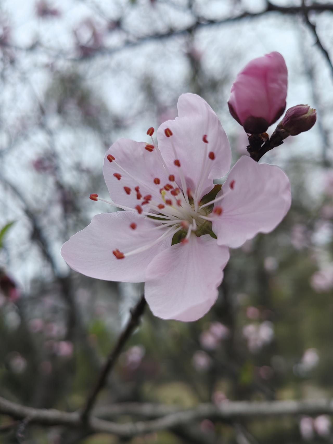 五十岁以后，别再太拼命，好好爱自己
 
走过半生风雨，看过人间烟火，转眼已是五十