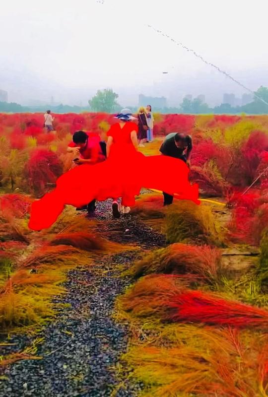 红衣粉裙配花海，根本不是好不好看的问题，是直接能把春游出片的上限拉高好几个档次。