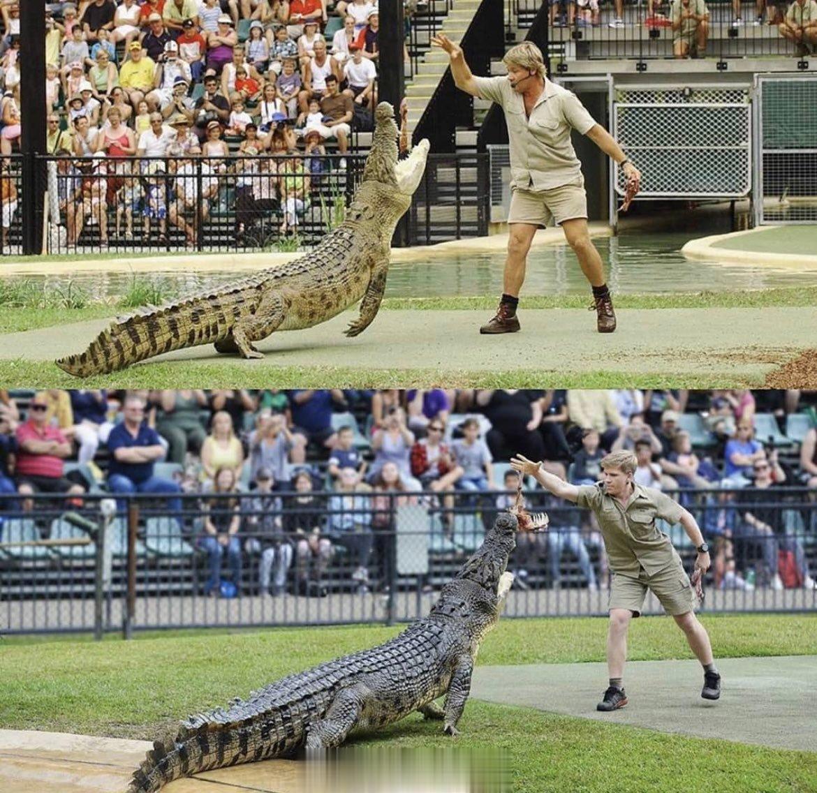 罗伯特·欧文（Robert Irwin）在15年后与父亲史蒂夫·欧文（Steve