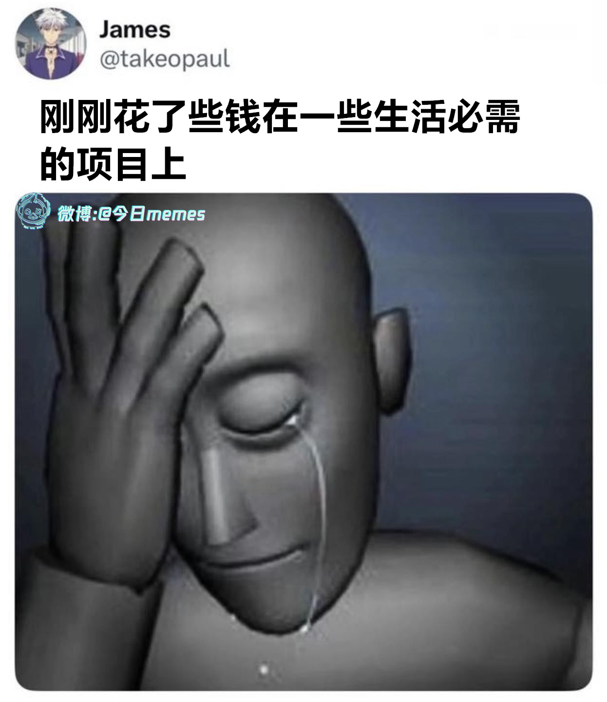 续订人生（takeopaul）今日meme今日memes