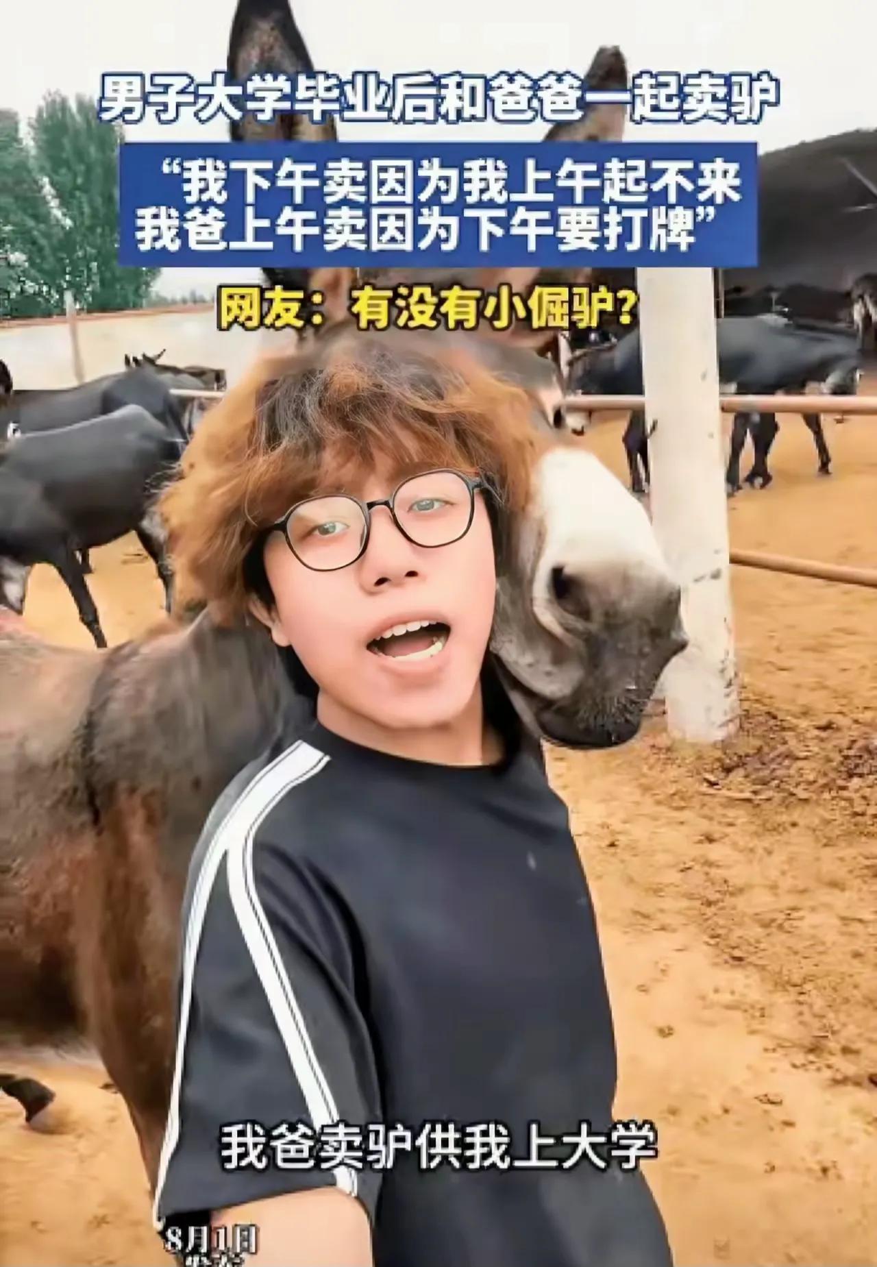 “笑不活了！”河北，男生大学毕业后没有去大城市，而是回到老家和爸爸一块卖驴，男生