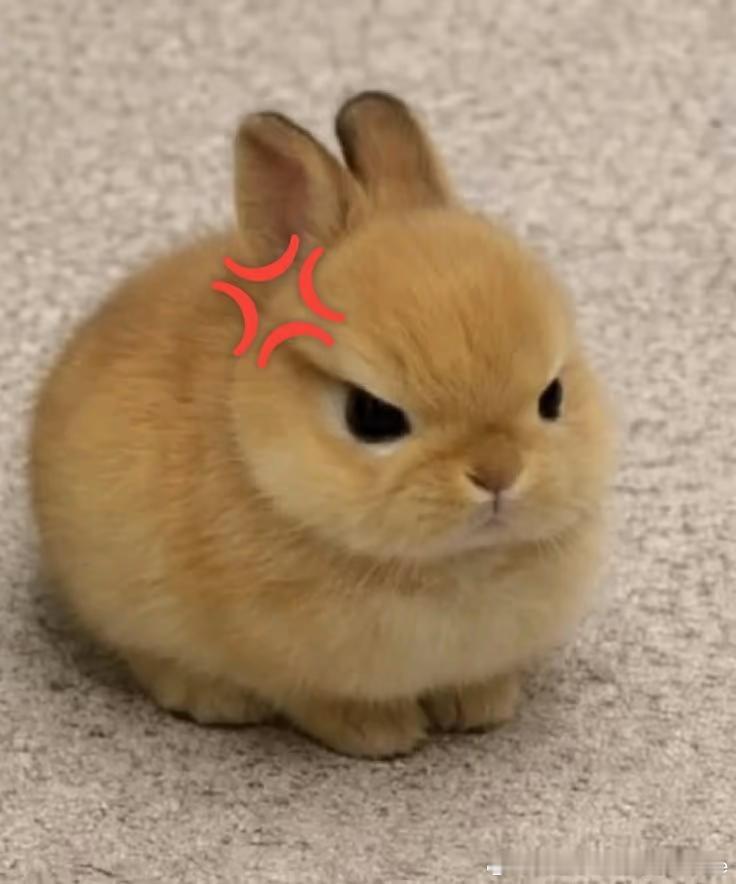 ˖Ი𐑼⋆ ​​​