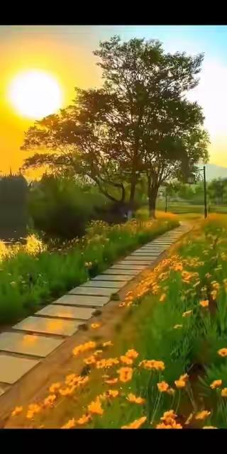 人这辈子，想开了就是幸福

人这一辈子，

无非就是个过程。

荣华花间露，富贵