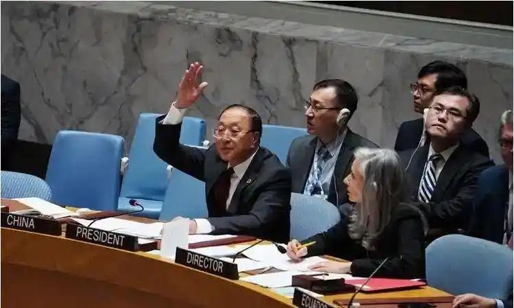 中国这次动用一票否决权，2比11投票结果出来，中方很失望？
 
同样是11票赞成
