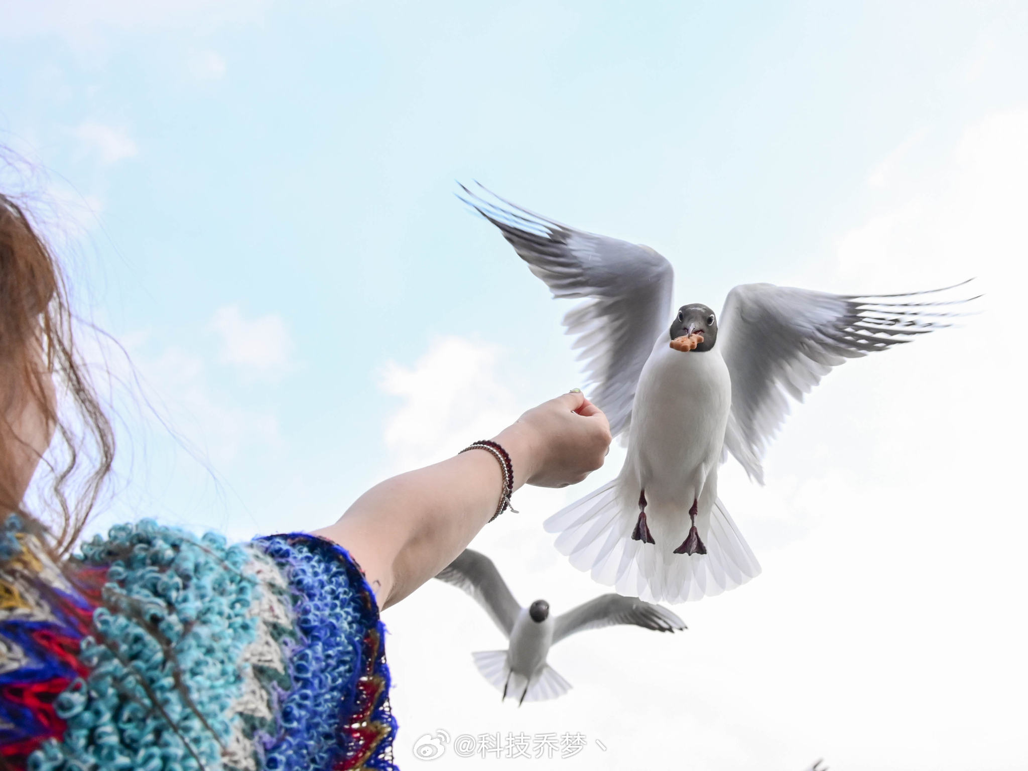 与视界对话 照片永远是那么令人感触，看到BYD CLUB 车主杯2025摄影大赛