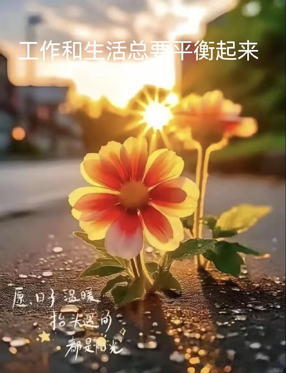 工作与生活平衡，愿时光温暖，抬头遇见阳光。