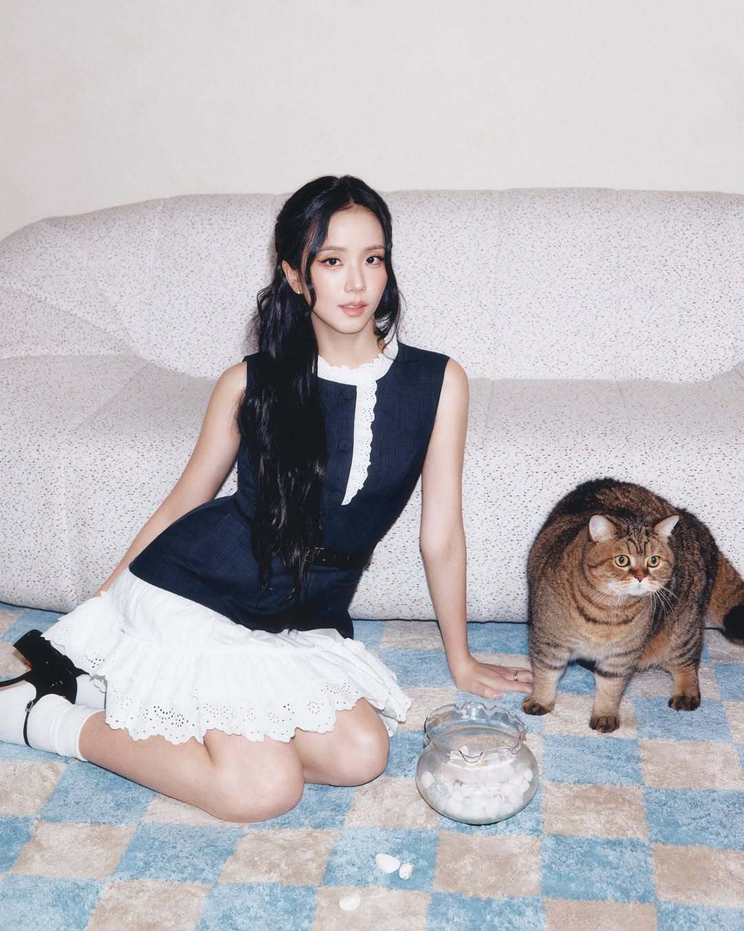 金智秀和半挂🐱 