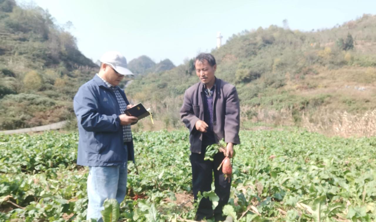 从小在大山褶皱里放牛长大的我，当了近30年的新闻记者，我其实就是一个地地道道的庄