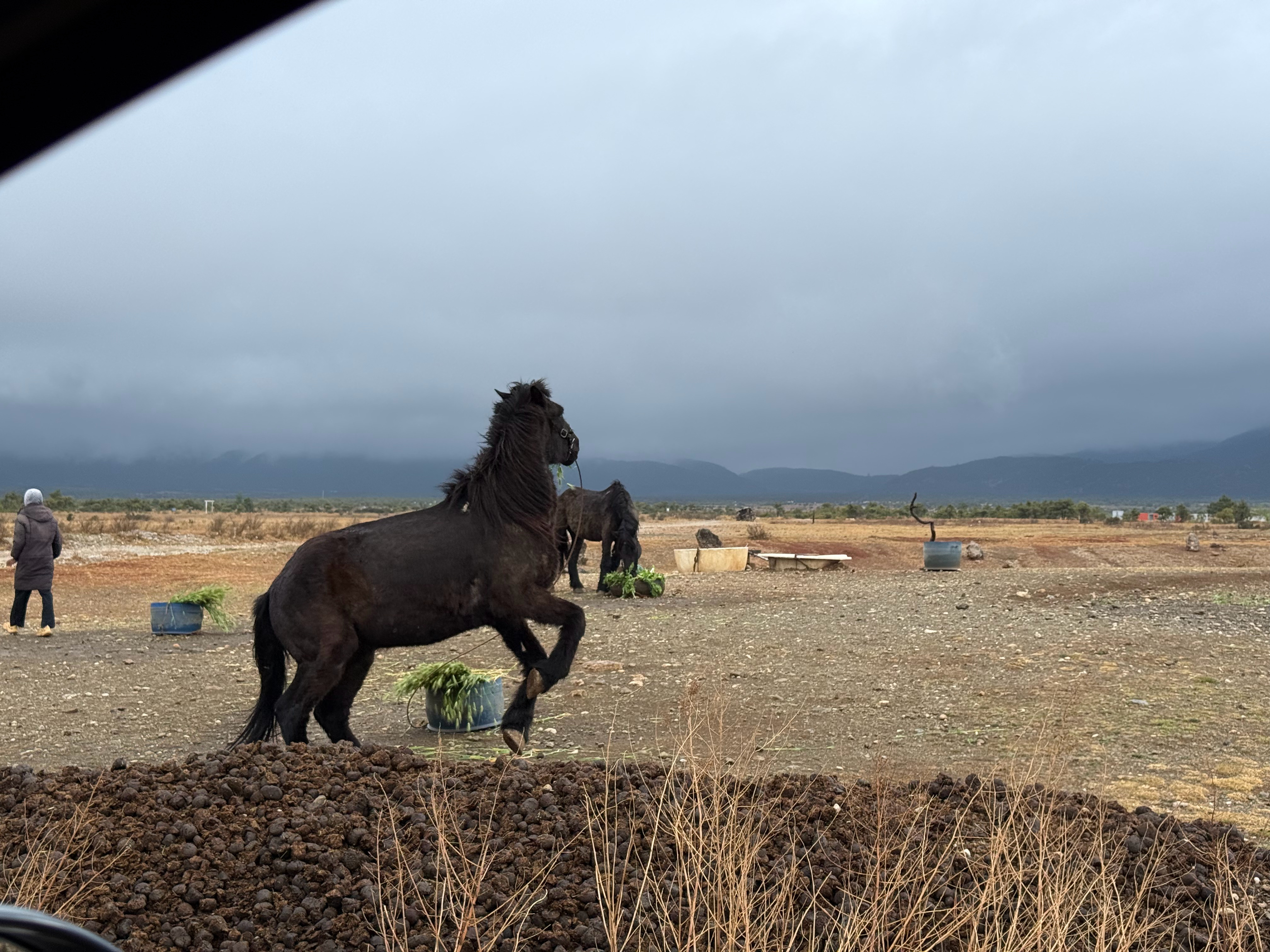 早饭前，工作了一个半小时，一大段时间，专注干一件事的心理获得感，真的hin高