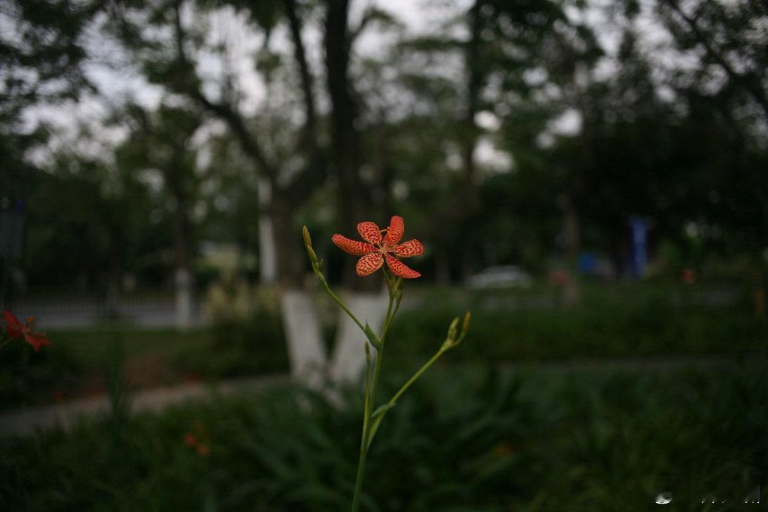 平凡的时光，点滴记录的每一天，广州生活时光代理人发现生活中的小美好 R28 2.