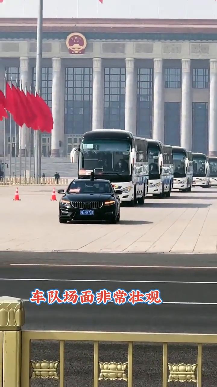 车队场面非常壮观。